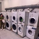 자유세탁소 이미지