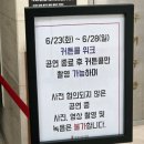 콜미노래타운 | 뮤지컬 서편제 | 1층 M열 시야, 커튼콜, 근처 카페와 레스토랑 추천