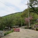 유가사등산로 이미지