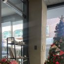 비건 베이커리 당근 컵케이크 이미지