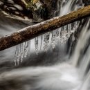 대백창신한라 이미지