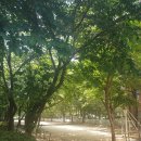 은빛아파트2단지 이미지