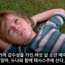 보이후드 카카오 검색결과