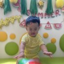 슈박 이미지