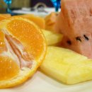 신선팜스 이미지