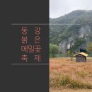 동강조은민박 | &lt; 동강 &#39;붉은 메밀꽃 축제&#39; &gt; 영월 가볼 만한 곳, 전국 유일 붉은 메밀꽃 축제