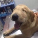 스튜디오 클라라 이미지