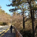 달맞이길 35 이미지