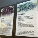 거기뭉티기 이미지