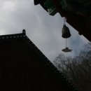 빤쯔