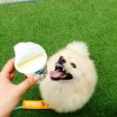 프로지스 이미지