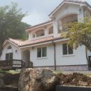 콩깍지민박 이미지