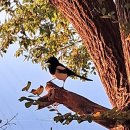 천지천우 이미지