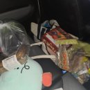 안면도위드유 이미지