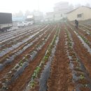 건천2리 이미지