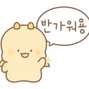 호텔화양강 이미지