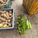 다은이네 민박 이미지