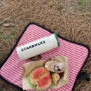 서시천자전거길1 이미지