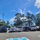 소나무 숲 리조트 이미지