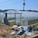 엄정면사무소 이미지