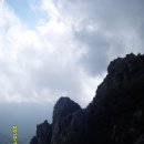 춘식이네 이미지