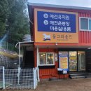 대전 중구 강아지 유치원 몽그라운드 입학안내부터 강아지케어시작?