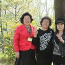 용현남초등학교 이미지