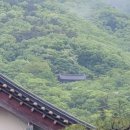 동전마을회관 | #부안내소사 #백의관음보살 #천수천안관세음보살 #관음전 #당산나무