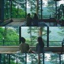 숲속의별들 이미지