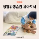 그림책과 마음 쑥쑥 | 4세 책 추천 재미둥이 인성동화 생활위생습관 유아도서 후기