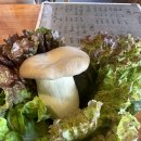 구세군부산요양원 | 경성대 삽겹살 맛집 바른돼지 순삭하고 온 후기