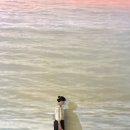 아우스밀 소맥베이커리 호시정 광주 빵지순례 BEST 3