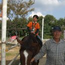 다영목장 이미지