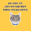 송탄시장약국 이미지
