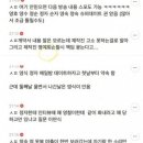 정자 반려견 이미지