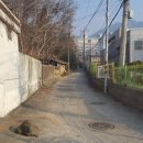 화순초등학교 이미지