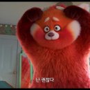 메이플러스