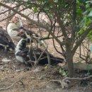 동녁골 농장 이미지