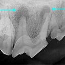 날으는 동물병원 이미지