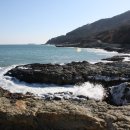 해수랜드 이미지