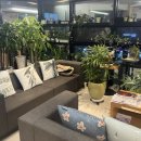 사과나무한의원 이미지