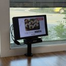 옥천동이로 | 옥천 막국수 맛집 탱글한 메밀면 시골막국수