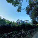 미니 쇠소깍 이미지