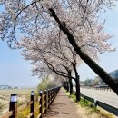 공운삼거리 네이버블로그
