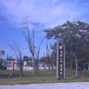 평화전자 | [파주 숙소] 임진각 평화누리 캠핑장 카라반 1박 후기