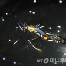 광릉산업개발 이미지
