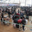 여행뉴스 이미지