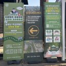 담양에코 | [메타세쿼이아랜드]담양 갈만한곳 추천! 입장료전액 상품권으로 환급(~4/30까지)