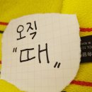 여성전용김씨네때공장