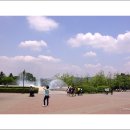 과천 서울대공원에서 만난 풍경들 이미지